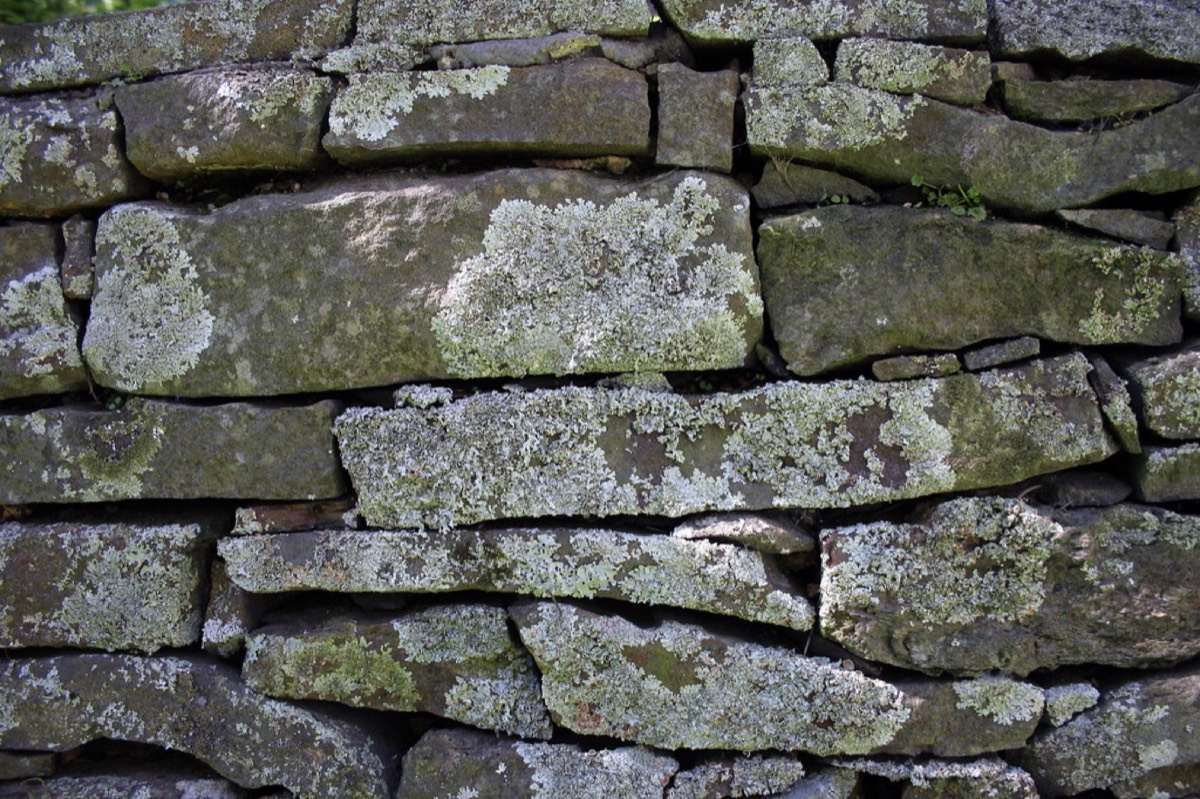 Muro de piedra natural con musgo y líquenes